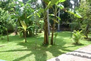 CFC Holiday Home