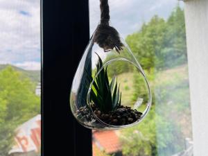 PARK ESCAPE Holiday Home 24h check in