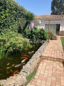 Maisons de vacances Studio Lumineux 2 adultes et 1enfant : photos des chambres