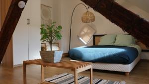 Appartements Le duplex des Marchands : photos des chambres