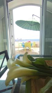 Alba marina a Castro