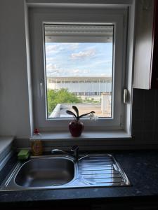 Apartman M&M Osijek