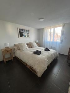 Appartements Nouveau - L-Ensoleille Terrasse & Atypique - 10 Min Plages - Serenite & Confort - IDEAL FAMILLE Parking et Wifi Gratuit - OFFRE SPECIALE : photos des chambres