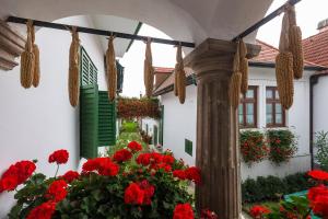 Gästehaus - Doris - Wenzl