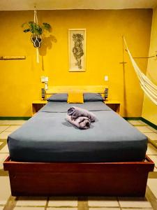 Palmar la Punta 7 AC Starlink 2min walk to beach - Ubytování bez kategorie ve městě Brisas de Zicatela