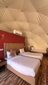 Mars surface wadi rum