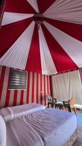 Mars surface wadi rum