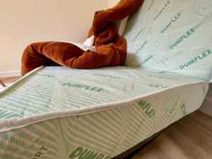 Appartements Appartement avec grand espace vert : photos des chambres