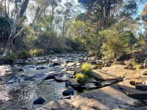 Ridge River Retreat
