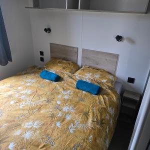 Mobil-home les pieds dans leau camping LES DUNES 5""