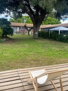 Charmant T3 rénové Jardin Parking Clim