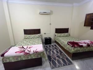 شقه فندقيه مكيفه برج العرب الجديده