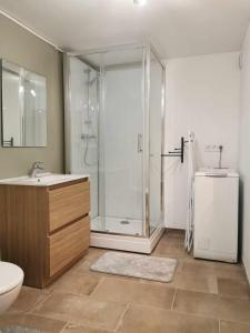 Appartements T2 MEUBLE plein centre-ville : photos des chambres