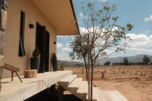 Casa Maul Valle de Guadalupe