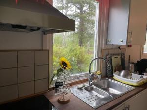 Stuga Älvkarleby,Älvkarleö