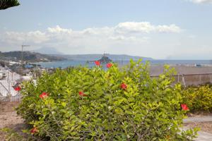 Archodia Studios Kos Greece