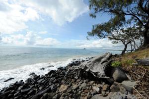 Discovery Parks - Bargara