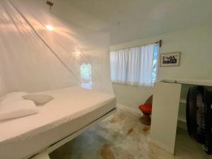 Casa Pauline Beach house habitaciones con acceso directo a playa y alberca