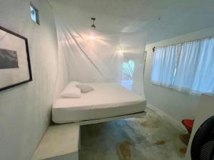 Casa Pauline Beach house habitaciones con acceso directo a playa y alberca