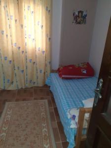 منتجع هوليداى شاطئ النخيل