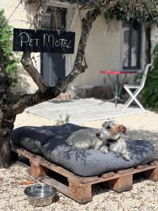 Motels Motel - Usine a Gaz : photos des chambres