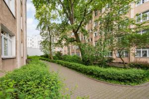 Green Courtyard Studio in Pre-War Tenement House