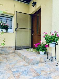 Closca Apartment 1 Max