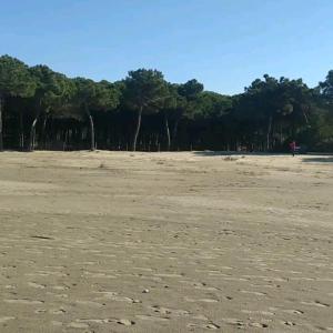 Frederik Apartment Qerret