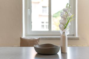 Benville Freital - 2 Schlafzimmer - Waschmaschine - WLAN - Zentral gelegen