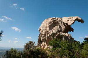 La Suara Manna - Happy Rentals img33