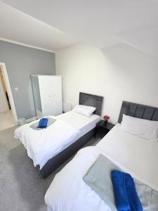 Bright, Modern & Comfortable 2-Bedroom Apartment