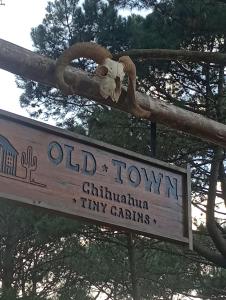 Oldtown Chihuahua