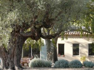 B&B / Chambres d'hotes Bastide Sainte Trinide : photos des chambres