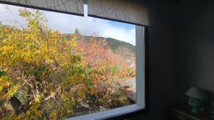 Departamento "Avanti"