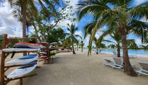 Vista cana punta cana