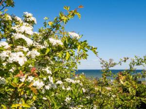 Seaside Bliss in Hejlsminde - By Traum Ferienwohnungen