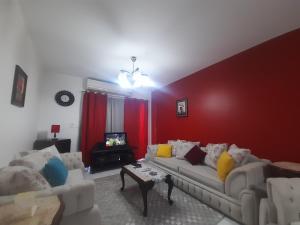 EASY CHECK-IN Cairo transit airport- taxi 24HR