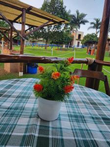 Cabana Hostel nas Árvores EcoPark