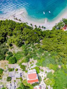 Apartments by the sea Brela, Makarska - 24541 