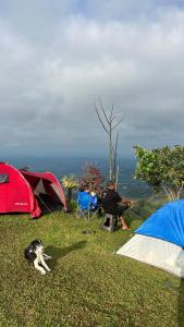 Finca El Mirador la Laguna
