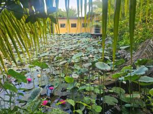 Homestay Sen & Zen Villa Vũng Tàu