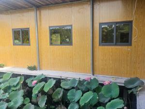 Homestay Sen & Zen Villa Vũng Tàu