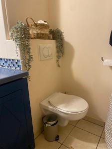 Studio 50M de la mer