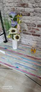 Les Volets Bleus - Deux appartements et un studio, Jardin : Studio