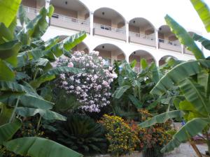 Paradise Lost Hotel-Apartments Argolida Greece