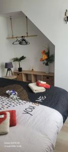 Les Volets Bleus - Deux appartements et un studio, Jardin : photos des chambres