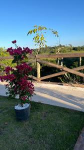 Chalé Paraíso Guararema 2