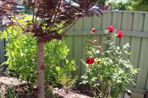 Little Gem City Cottage