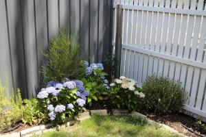 Little Gem City Cottage