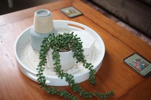 Cataract 7 - CBD 2 Br Free Parking